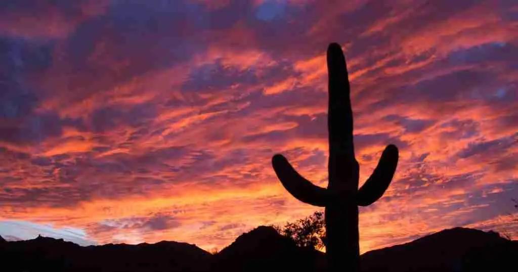 Top 7- The Very Best Camping in Arizona (Ultimate List) 3 White-Tank-Mountains-1024x538