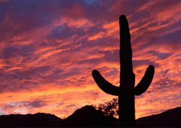 Campervan Rental Phoenix Airport Arizona campervan rental phoenix,campervan rental,campervan rental near me image