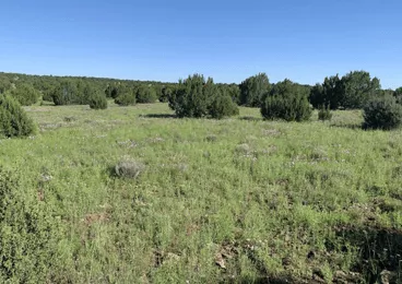 Campervan Rental Phoenix Airport Arizona campervan rental phoenix,campervan rental,campervan rental near me image