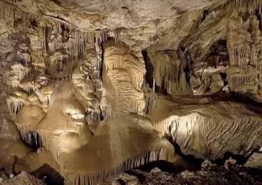 Campervan Rental Phoenix Airport Arizona campervan rental phoenix,campervan rental,campervan rental near me image